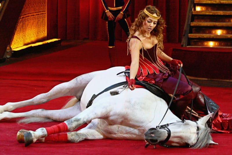 Жанна Фриске в «Цирке со звездами»