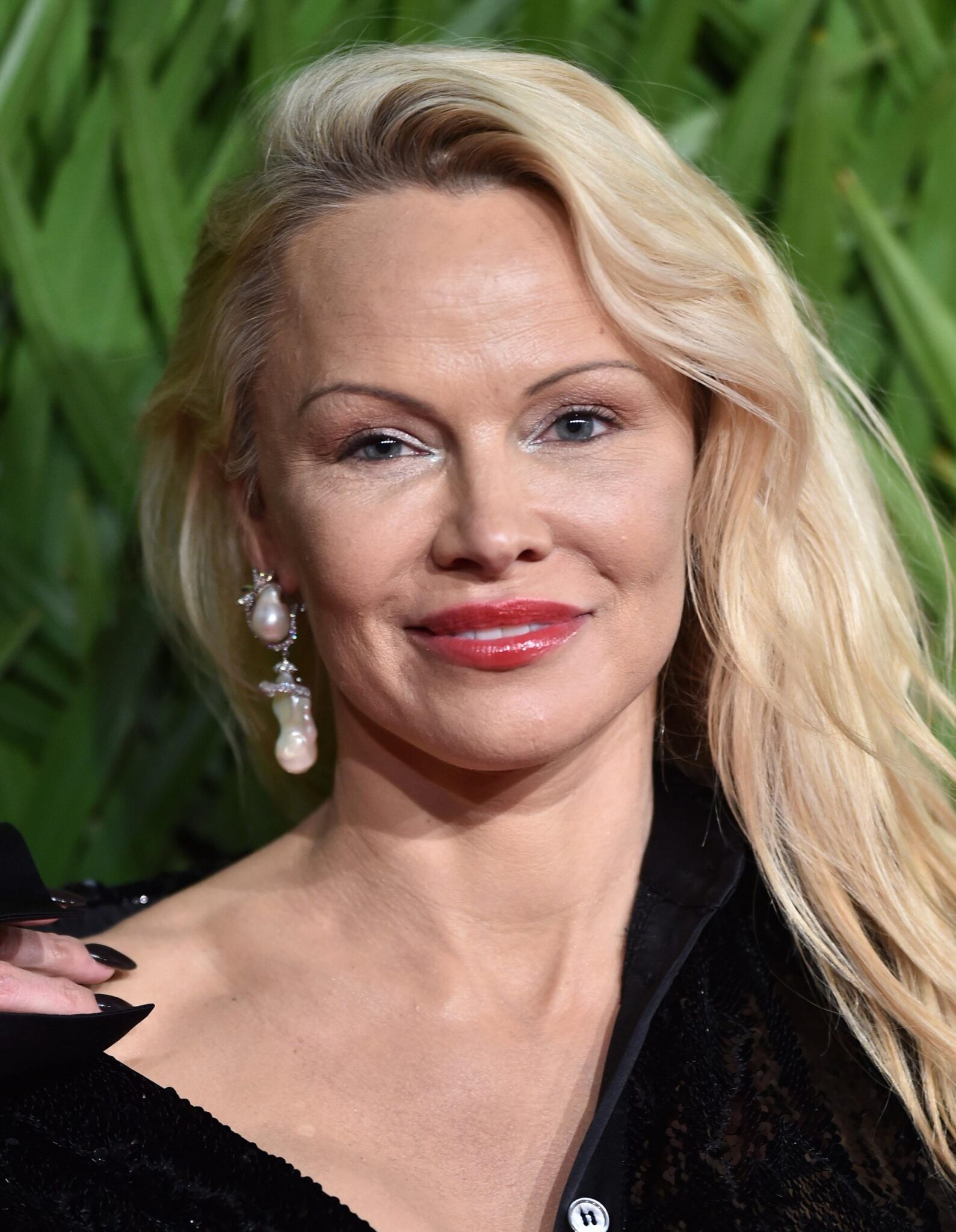 Pamela Anderson Search 1