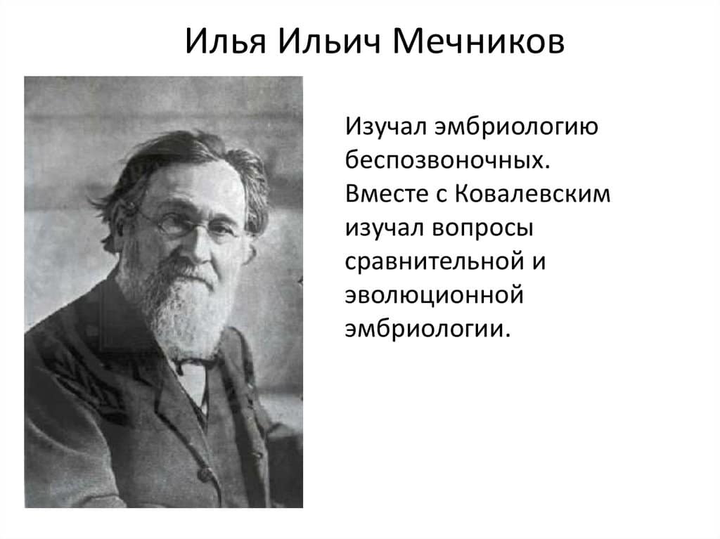 Илья Ильич Мечников