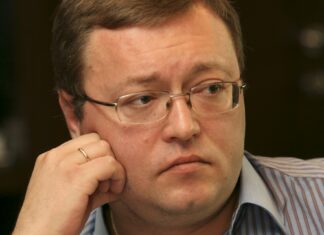 Константин Николаев. Автор: Дмитрий Духанин, Коммерсантъ