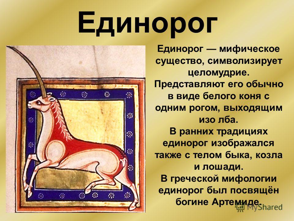 Единорог
