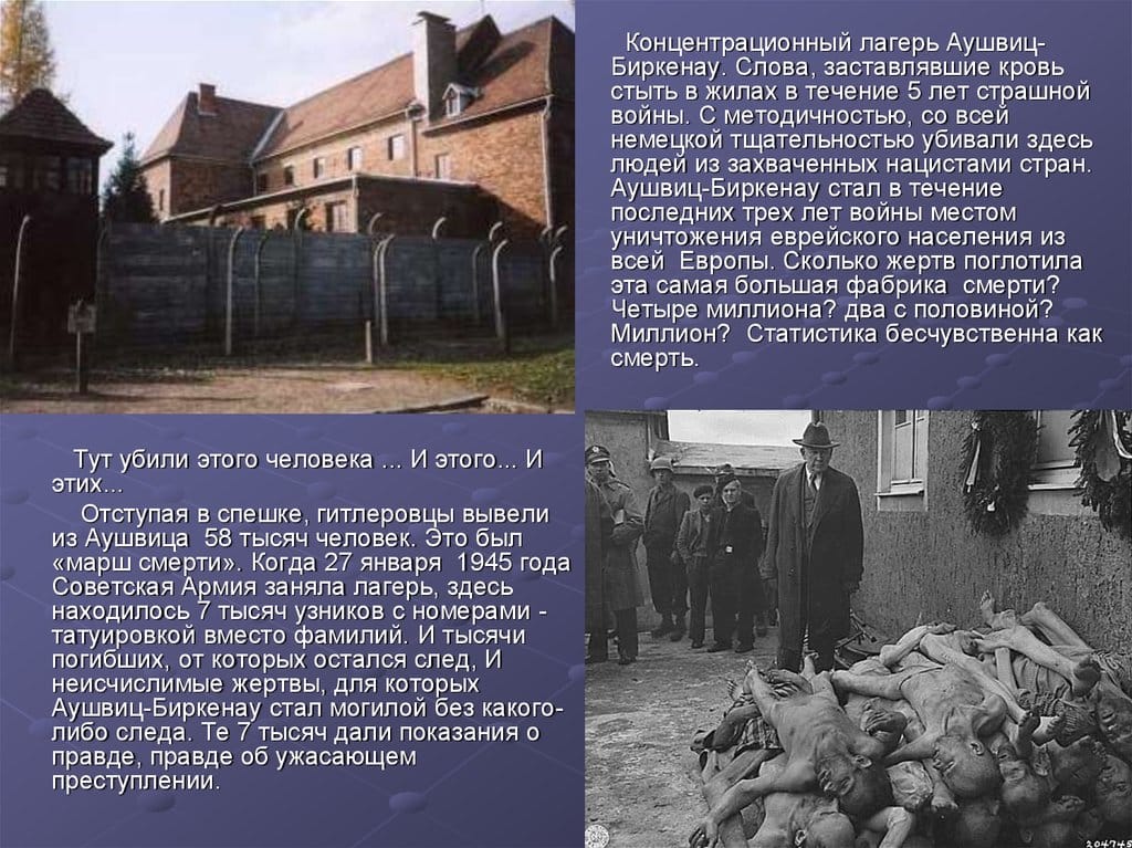 История концлагеря Освенцим: как действовал лагерь смерти