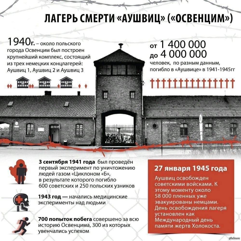 История концлагеря Освенцим: как действовал лагерь смерти