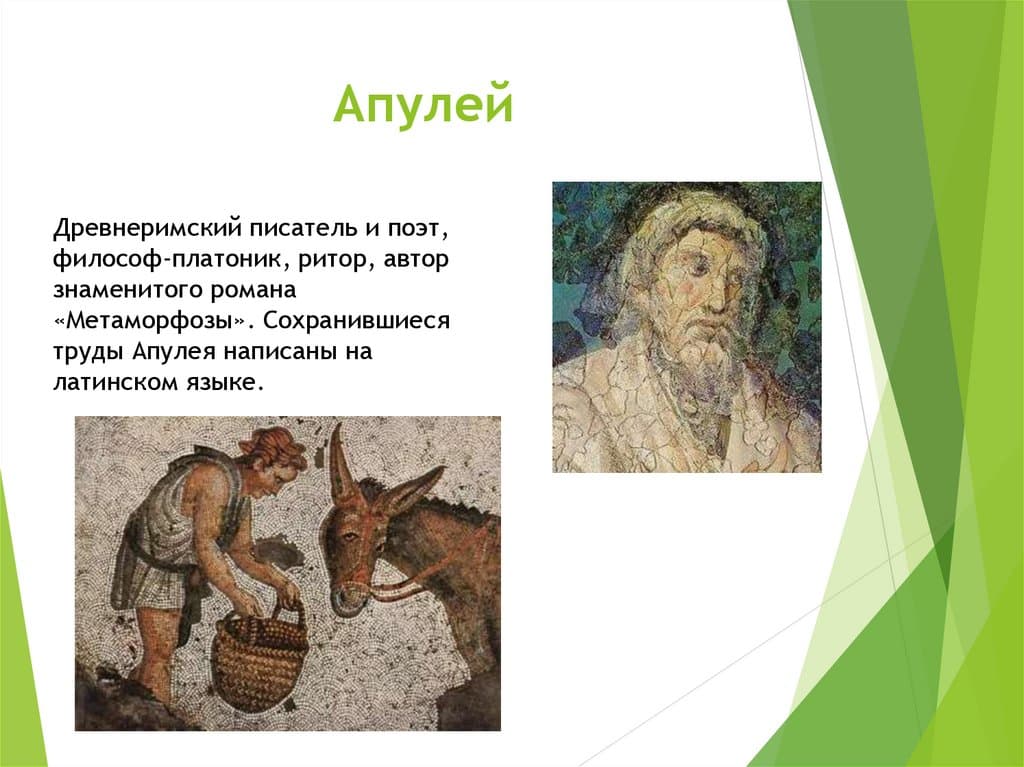 Апулей