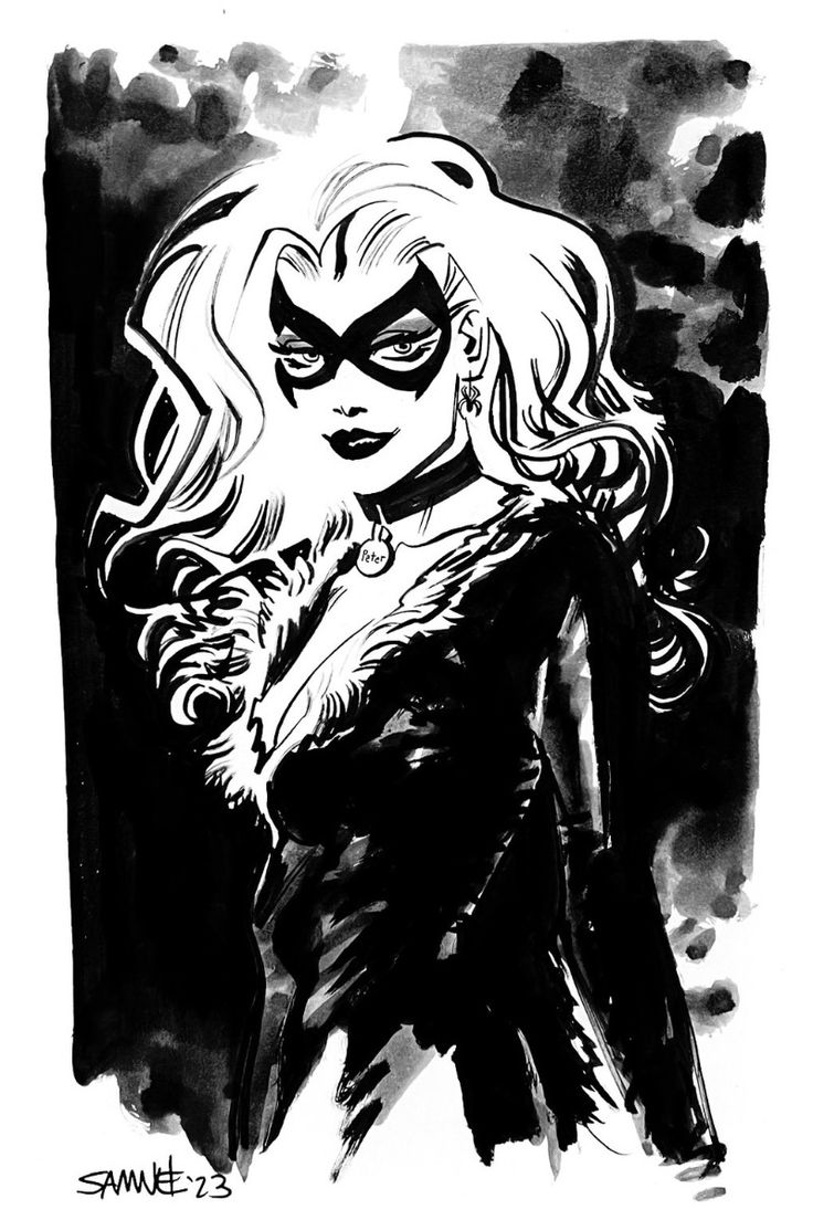 Чёрная кошка