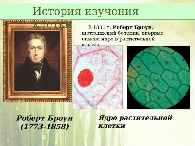 Роберт Броун