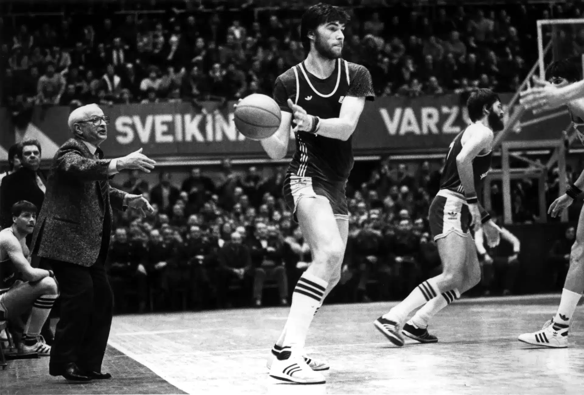 Владимир Александрович Гомельский