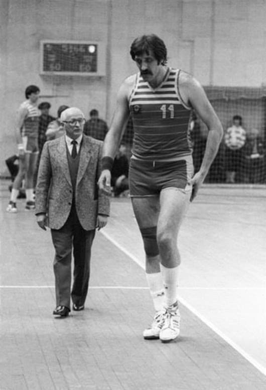 Владимир Александрович Гомельский